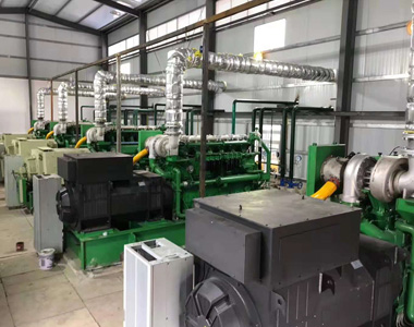云南某发电项目配米兰网_米兰（中国）800kw/10.5kv 高压发电机