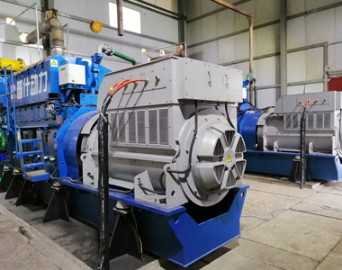 丰都甘泰沼气发电项目配米兰网_米兰（中国）2台850KW/10.5KV6极高压发电机