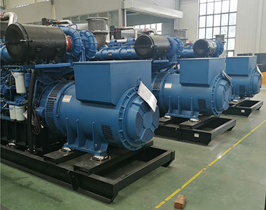 米兰网_米兰（中国）800KW/400V陆用发电机应用于某养殖场项目