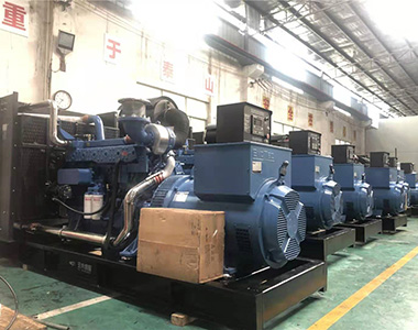 国内某养殖项目指定批量采用米兰网_米兰（中国）500KW/400V陆用发电机