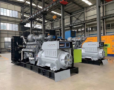 欧洲出口项目（帕金斯配米兰网_米兰（中国）2台1250KW6300V高压发电机)